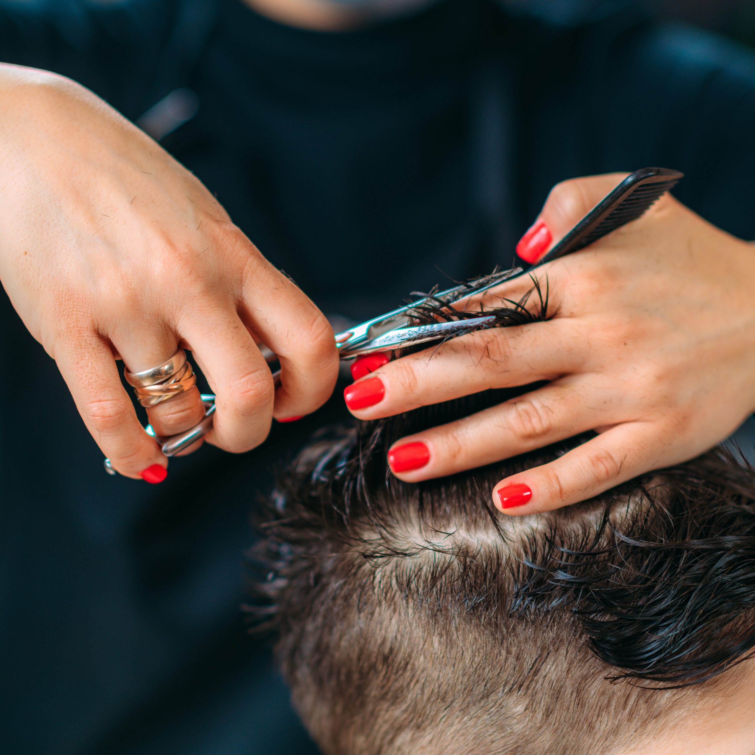 haren knippen limburg